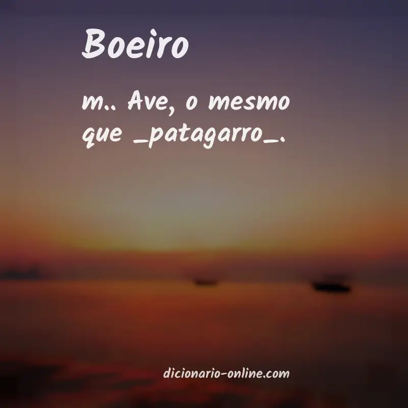 Significado de boeiro
