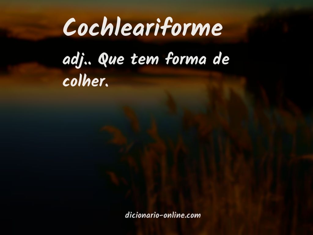 Significado de cochleariforme