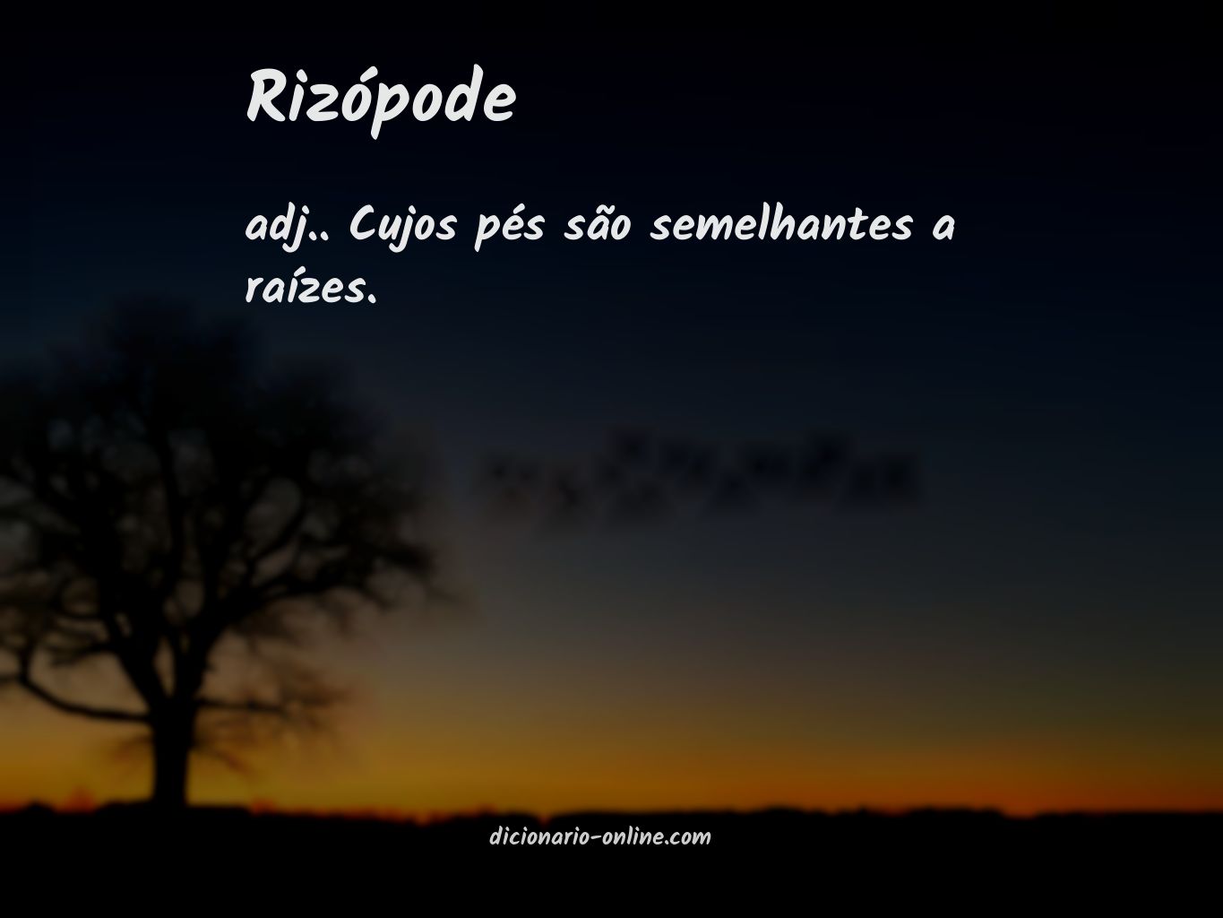 Significado de rizópode