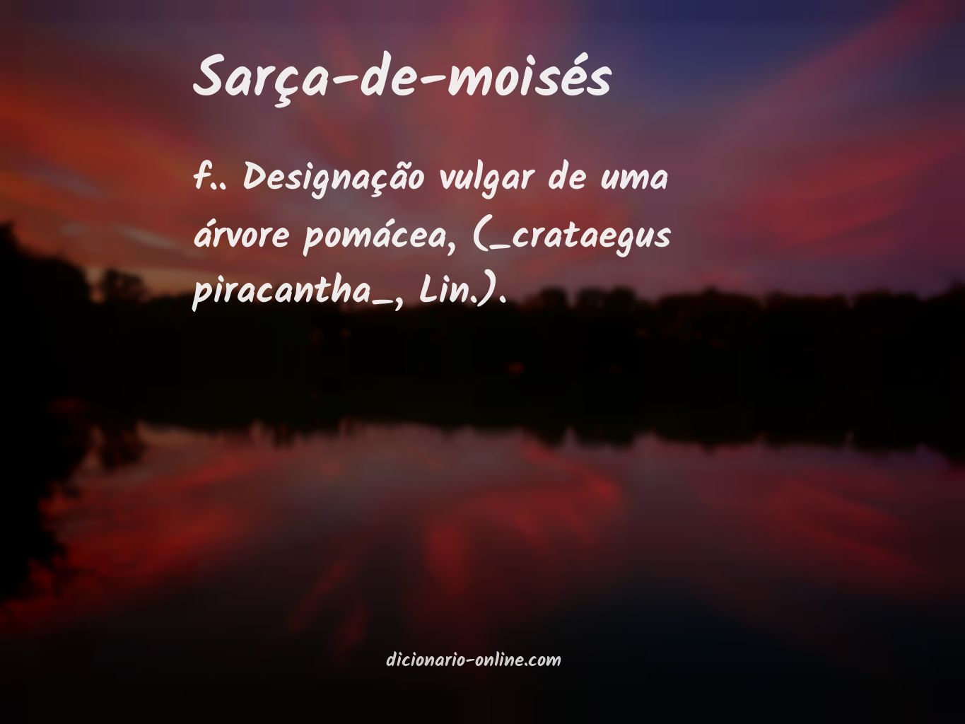 Significado de sarça-de-moisés