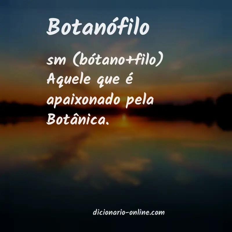 Significado de botanófilo