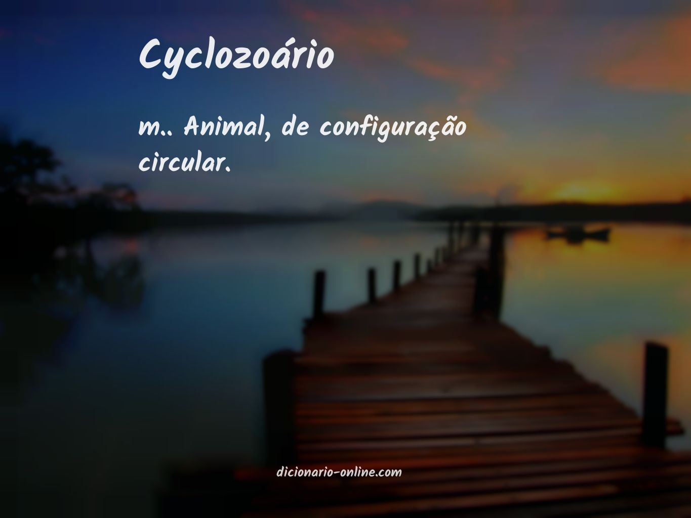 Significado de cyclozoário