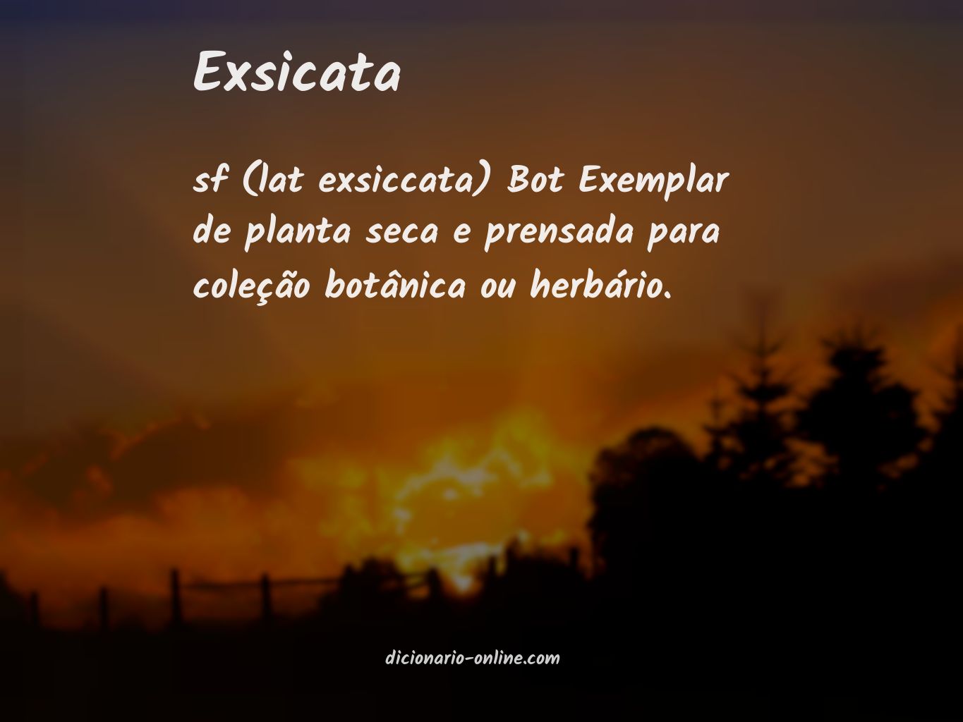 Significado de exsicata