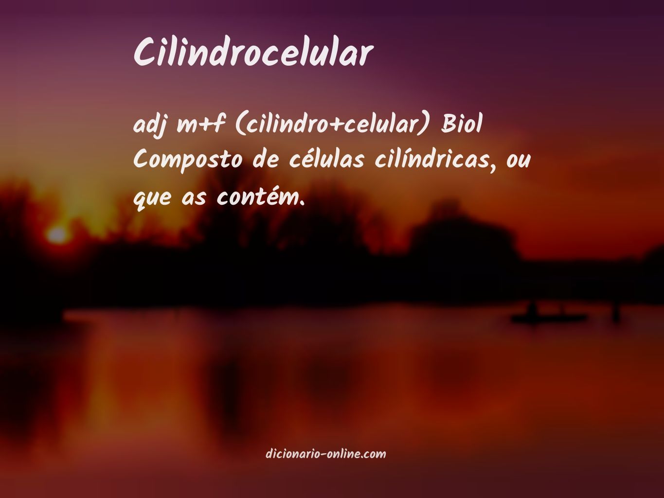 Significado de cilindrocelular