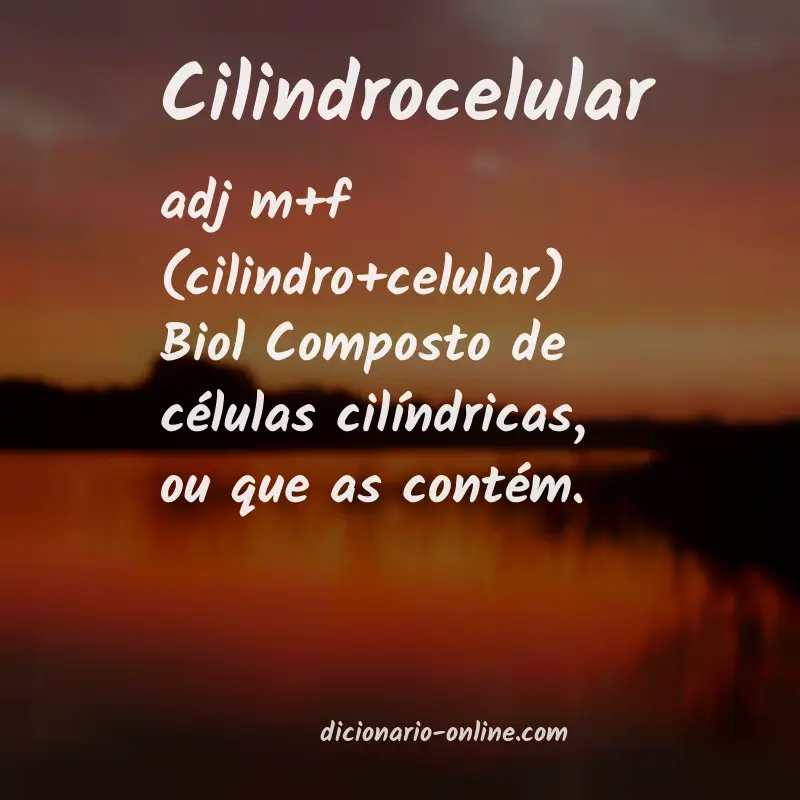 Significado de cilindrocelular