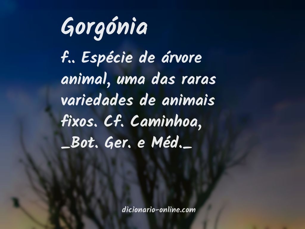 Significado de gorgónia