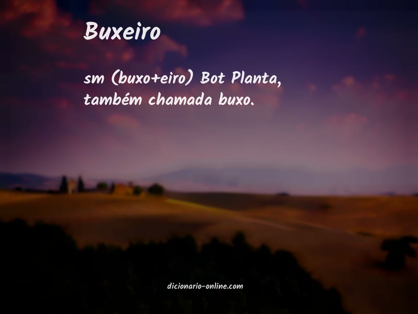 Significado de buxeiro