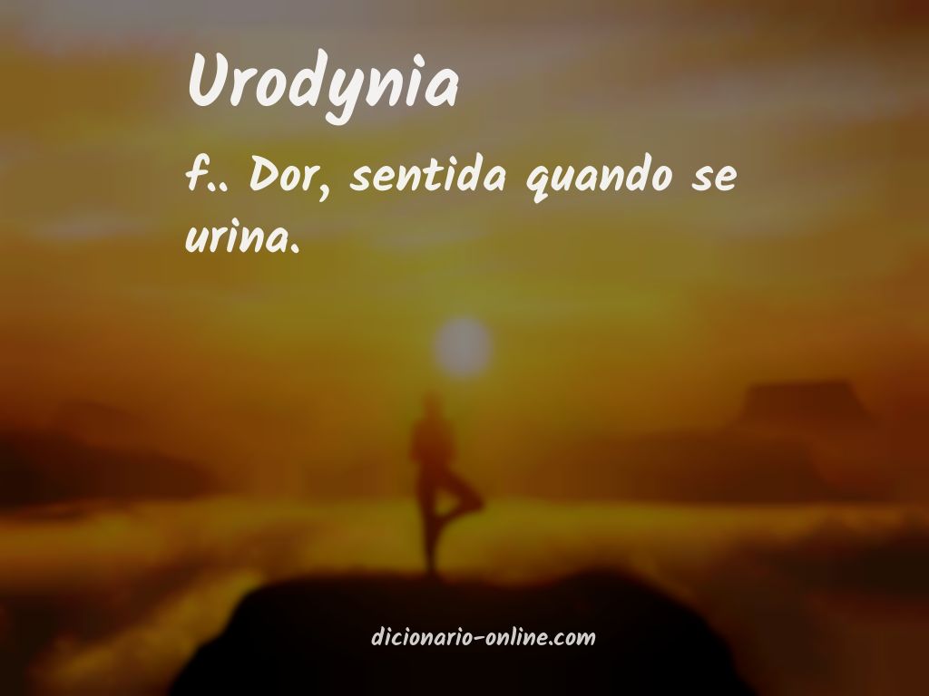 Significado de urodynia