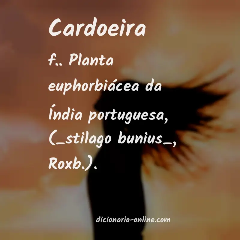 Significado de cardoeira
