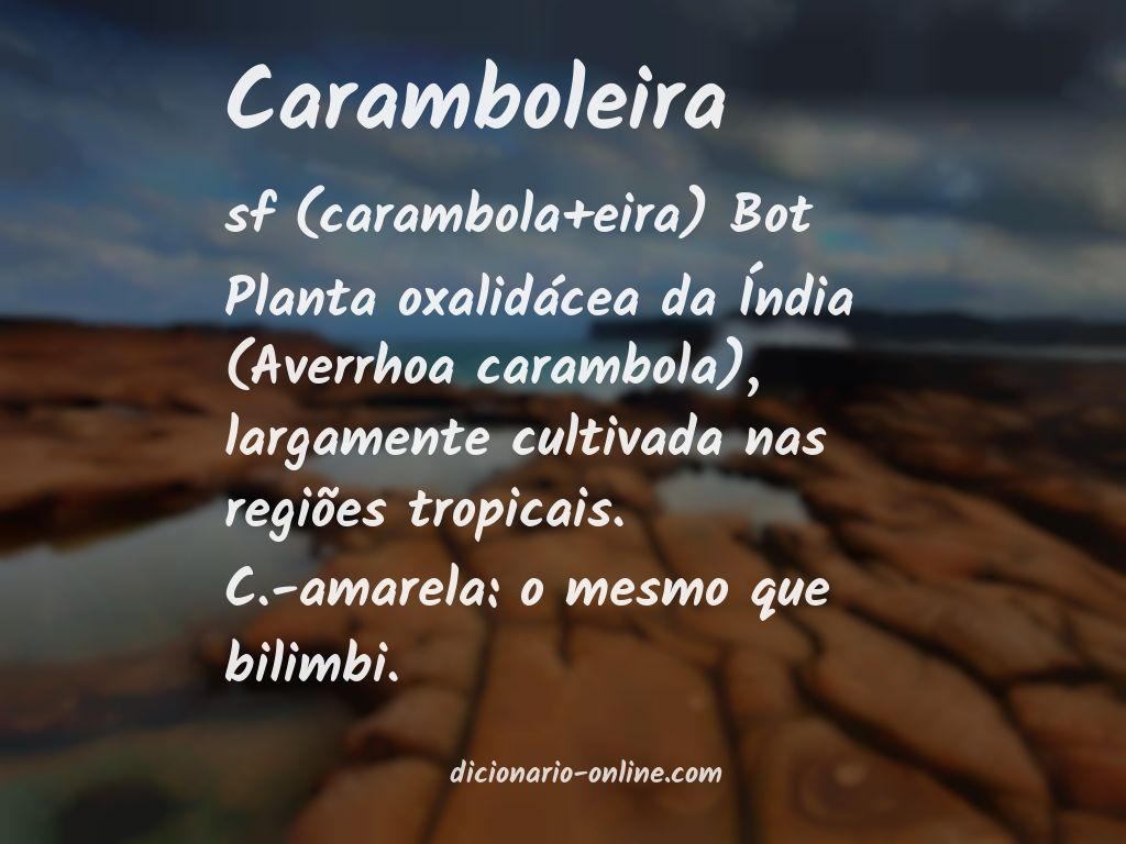 Significado de caramboleira