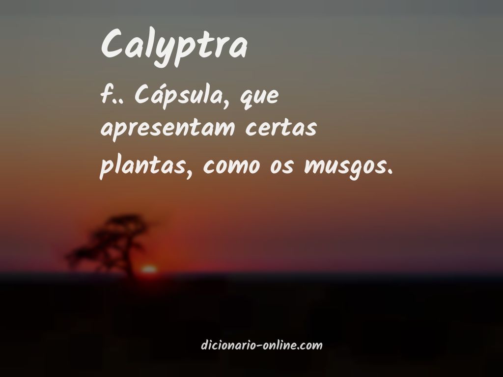 Significado de calyptra