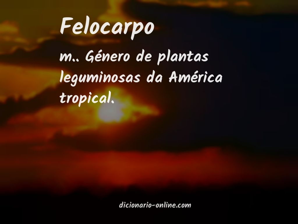 Significado de felocarpo