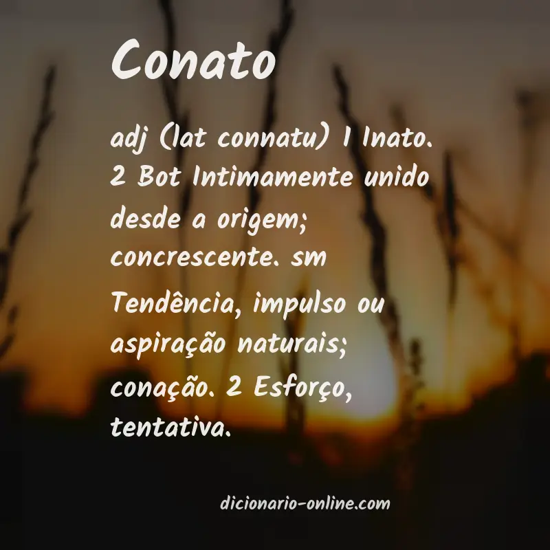 Significado de conato