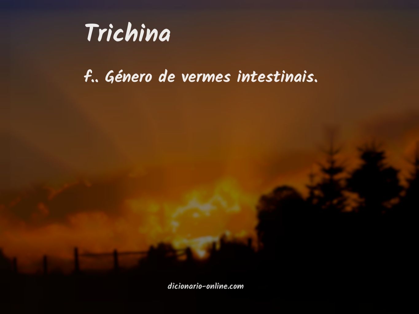 Significado de trichina