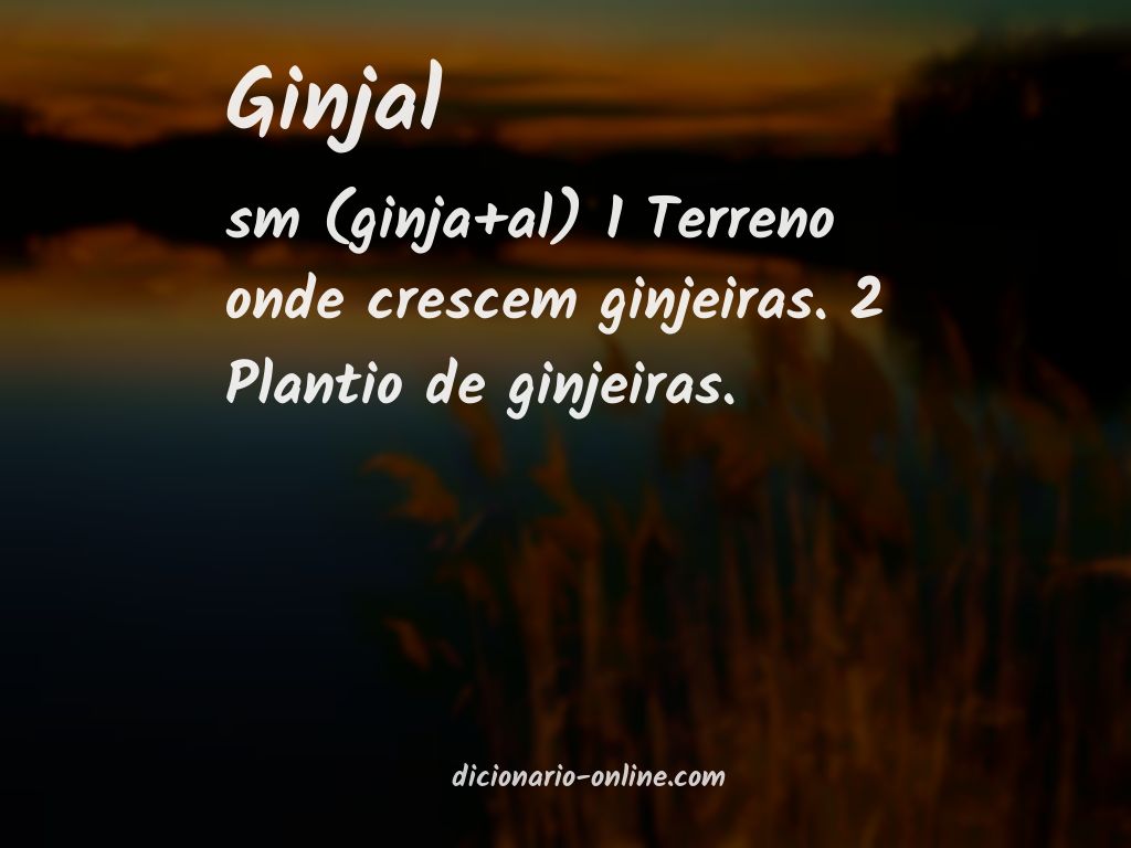 Significado de ginjal