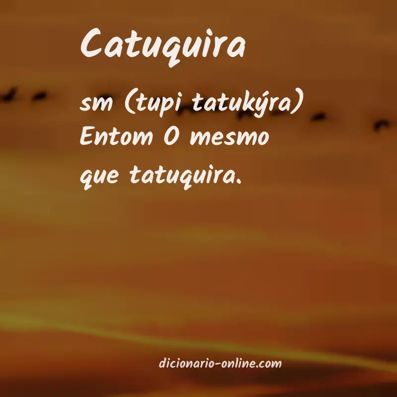Significado de catuquira