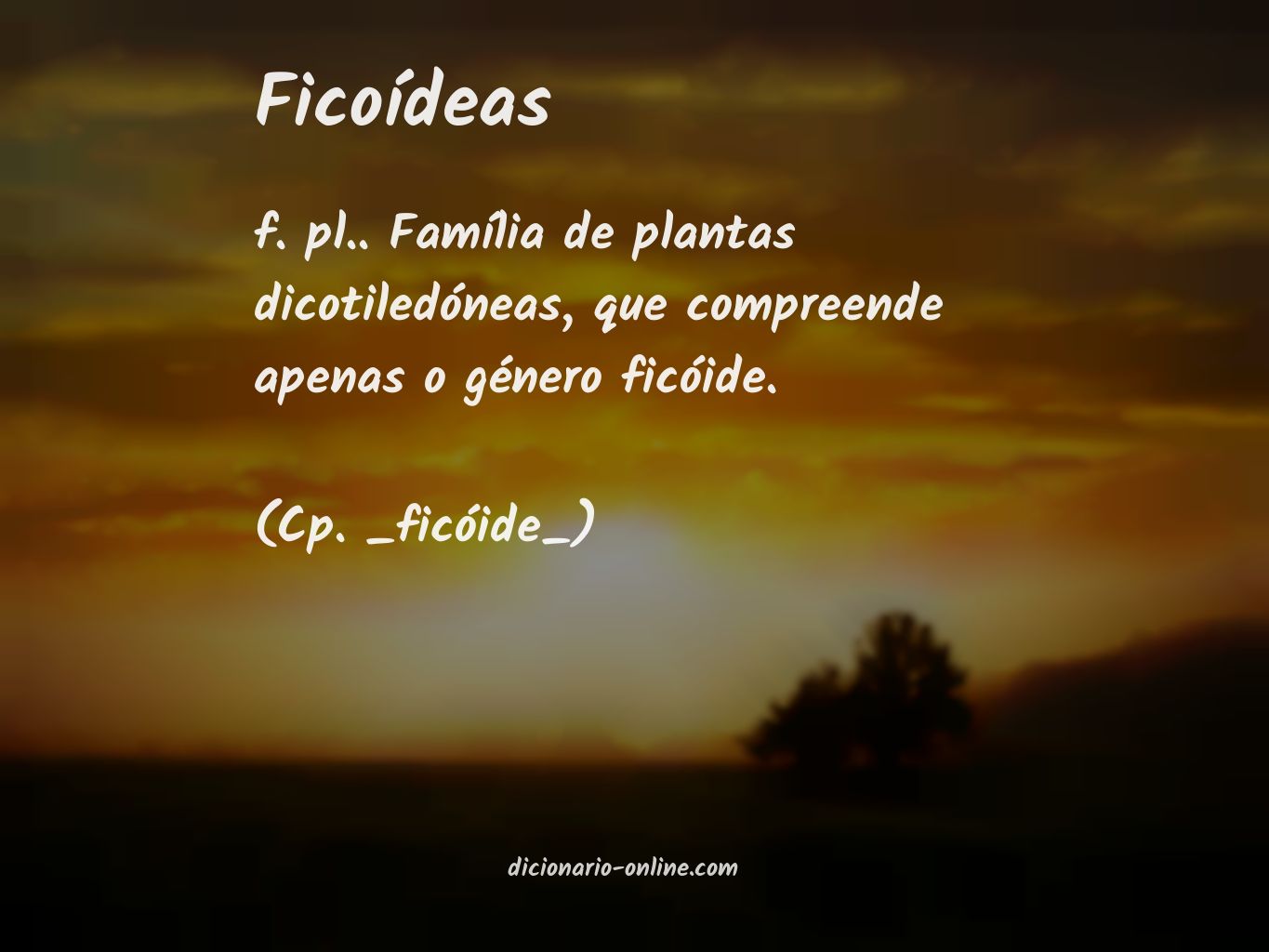 Significado de ficoídeas