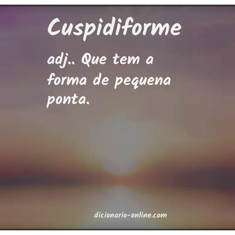 Significado de cuspidiforme