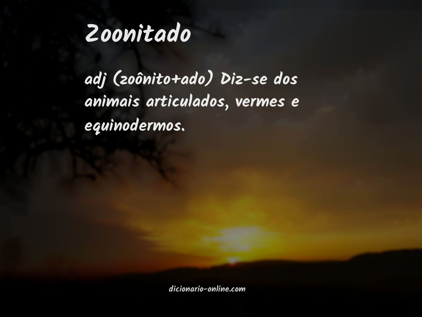 Significado de zoonitado