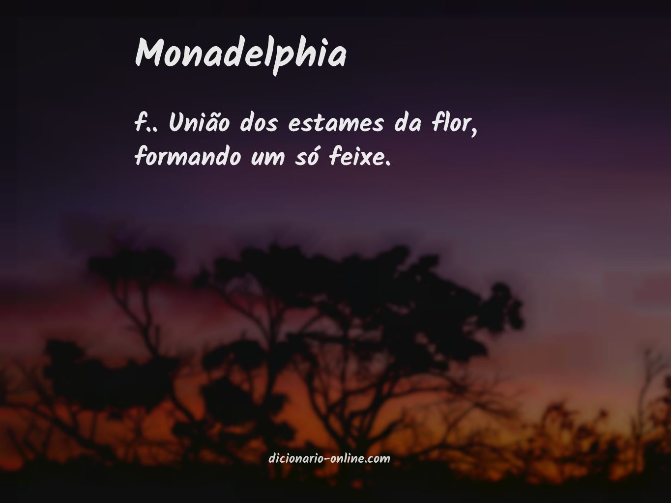 Significado de monadelphia