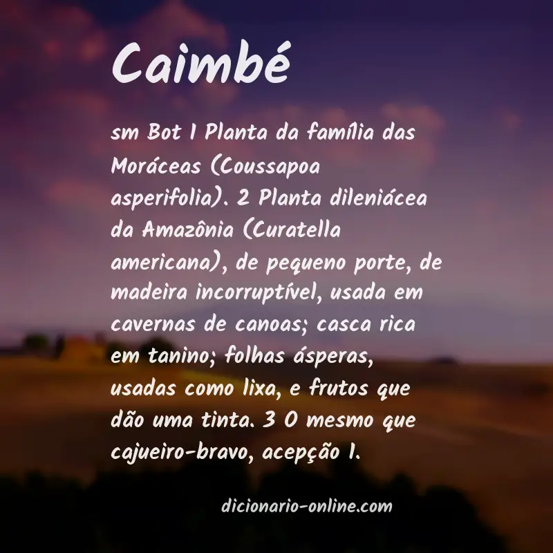 Significado de caimbé