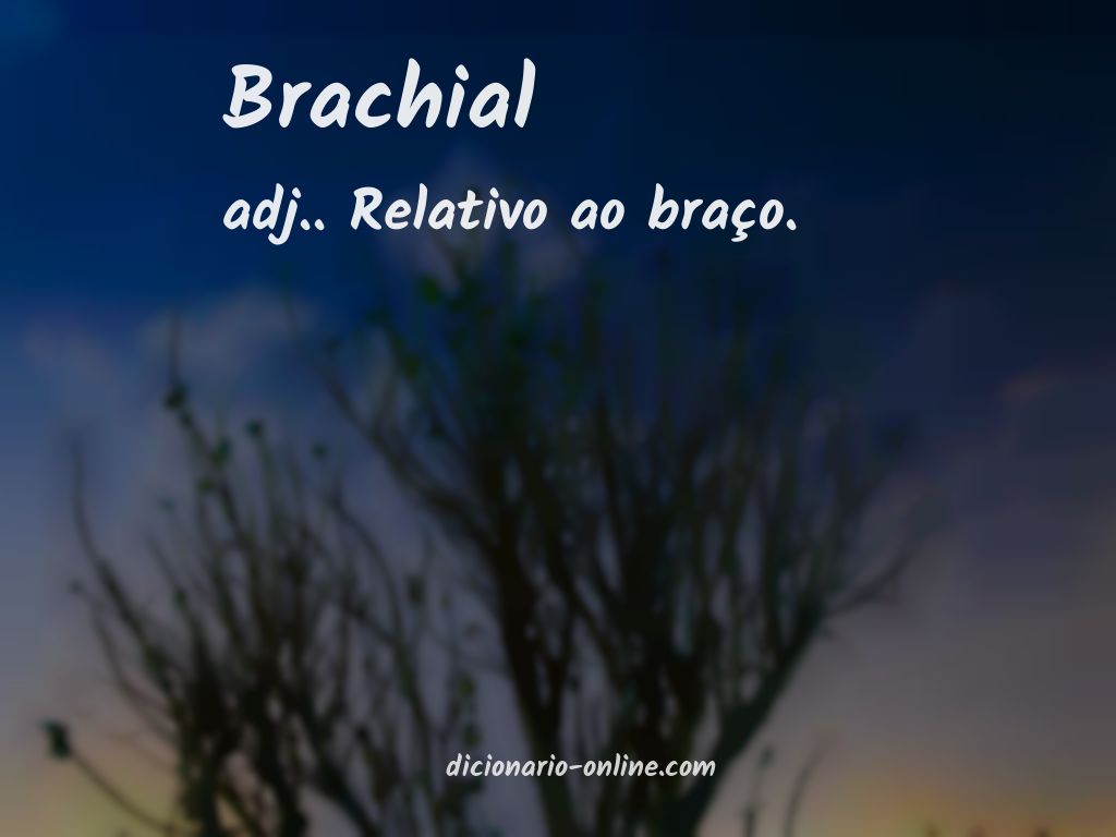 Significado de brachial
