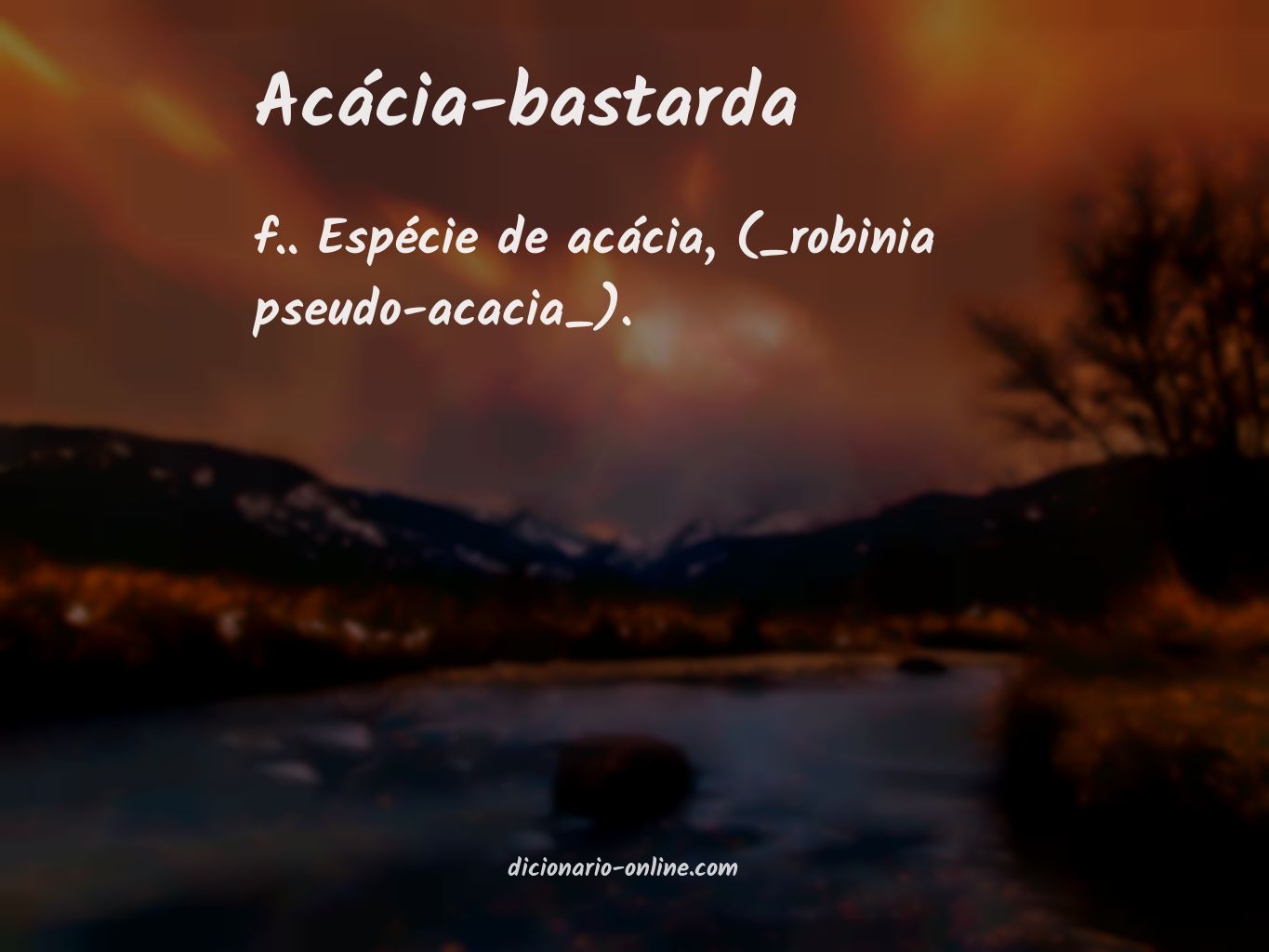 Significado de acácia-bastarda