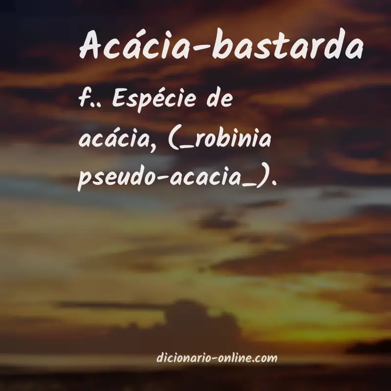 Significado de acácia-bastarda