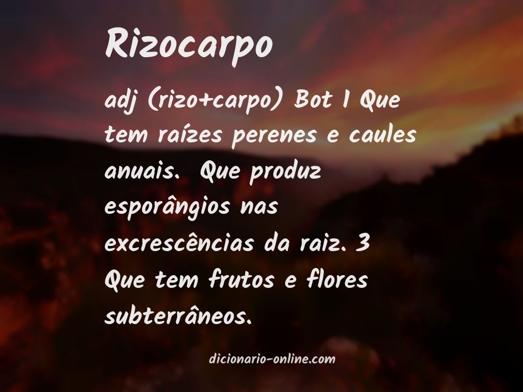 Significado de rizocarpo