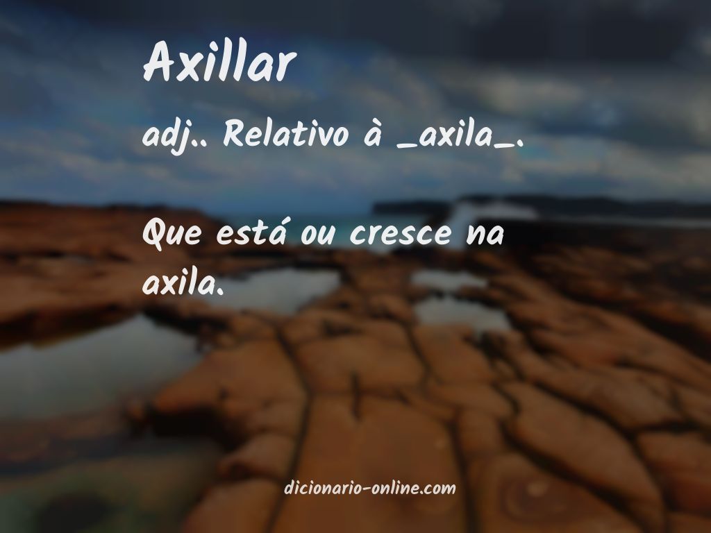 Significado de axillar