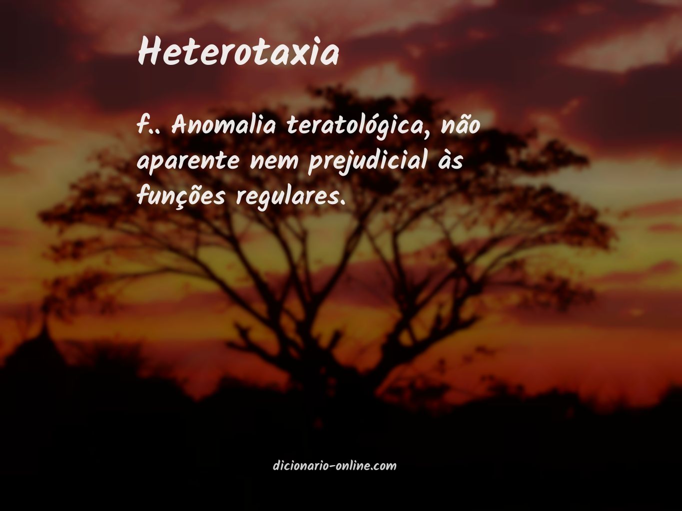 Significado de heterotaxia