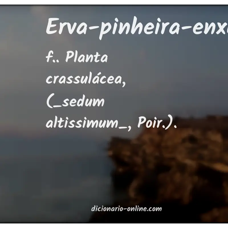 Significado de erva-pinheira-enxuta