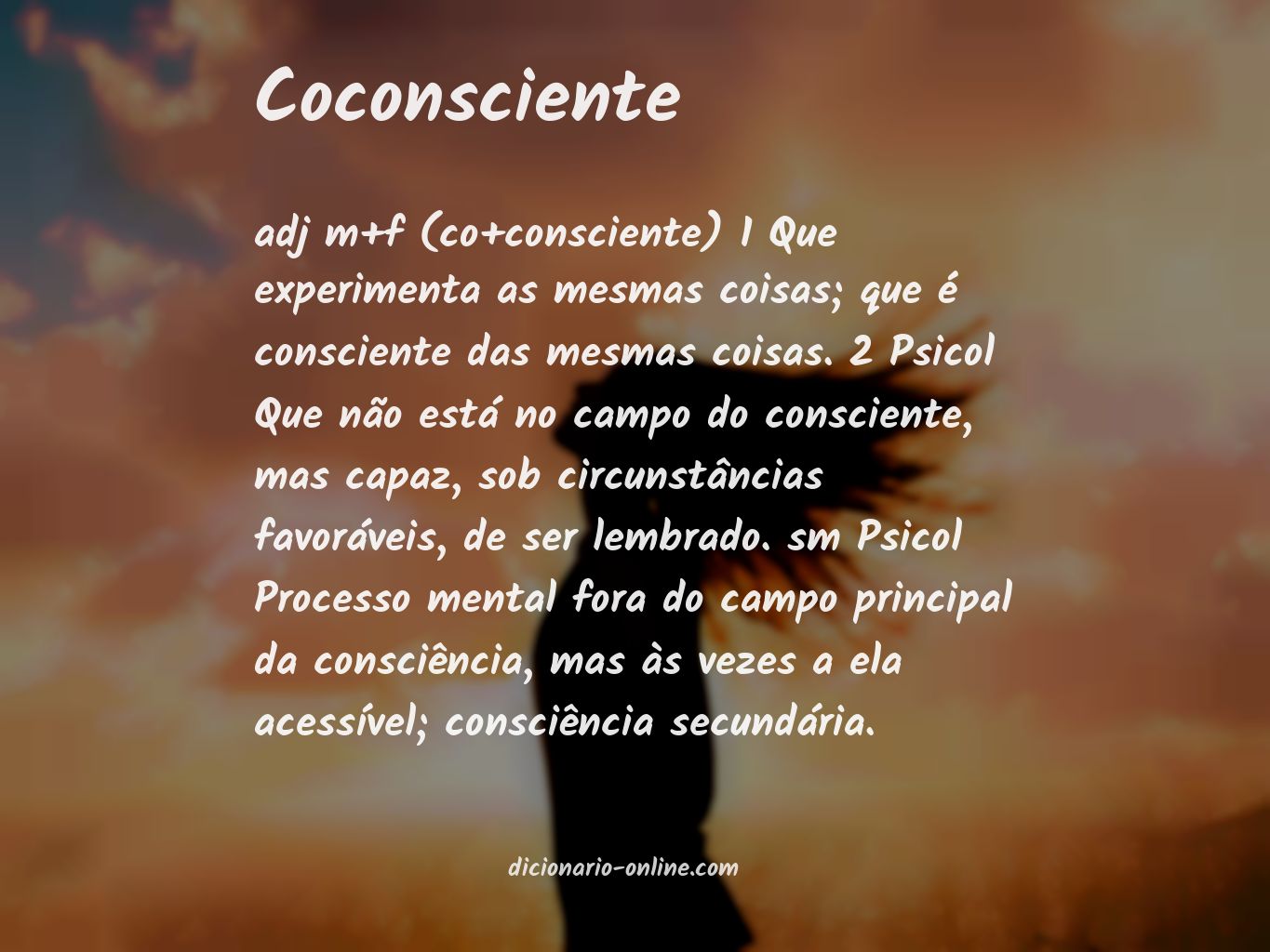 Significado de coconsciente