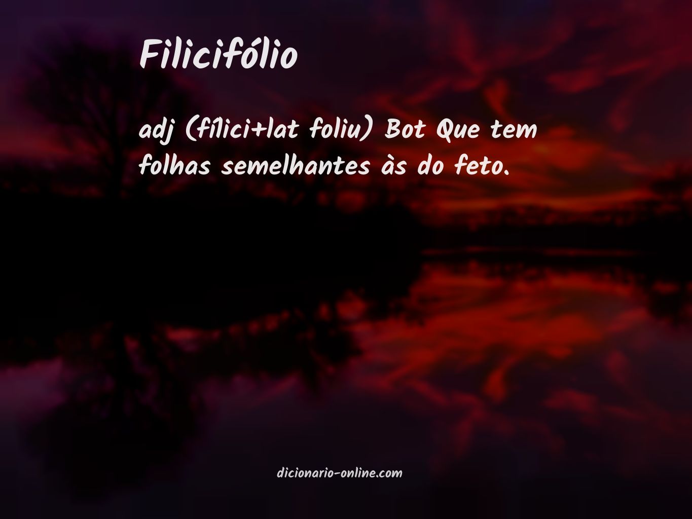 Significado de filicifólio