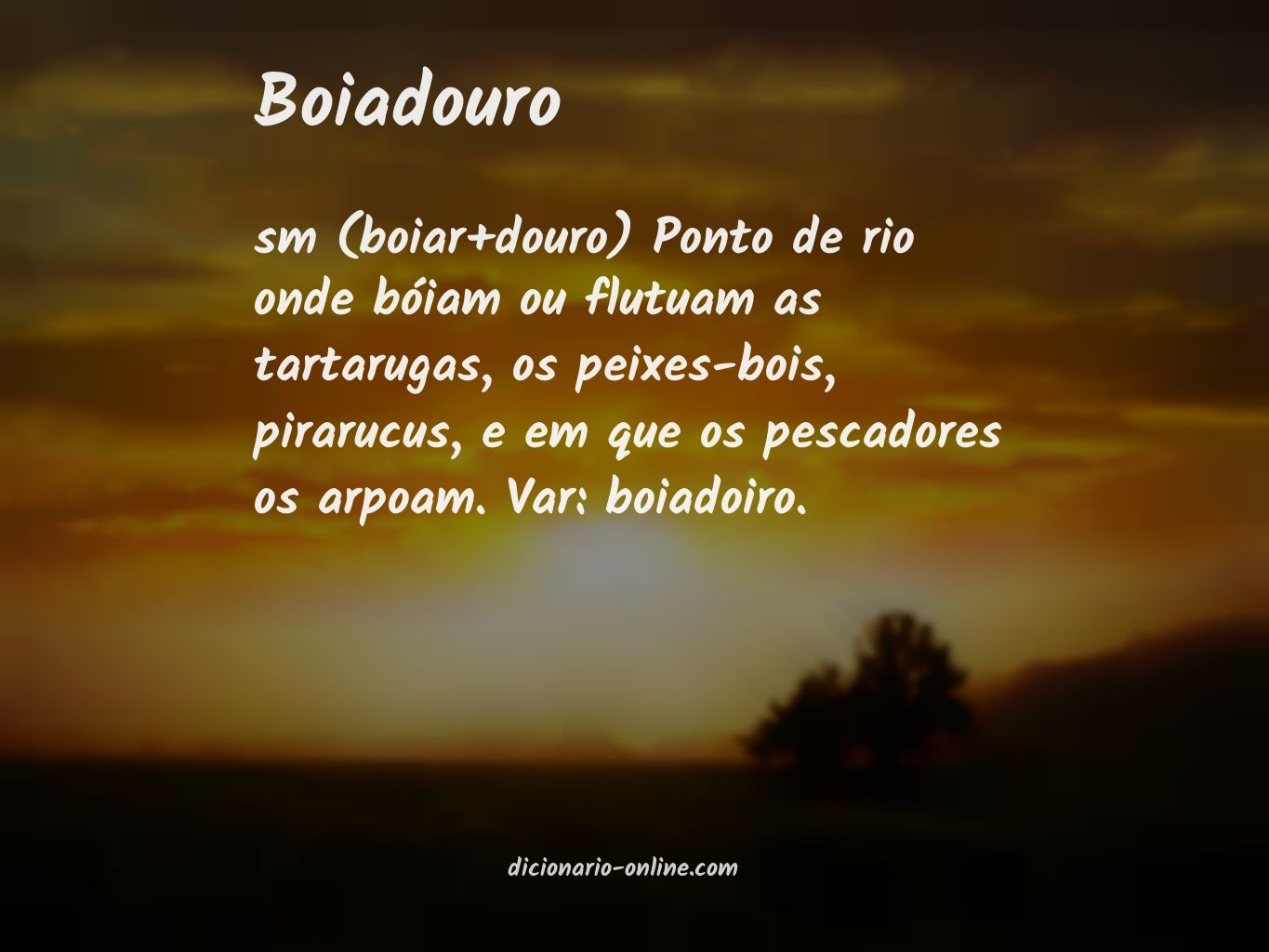 Significado de boiadouro