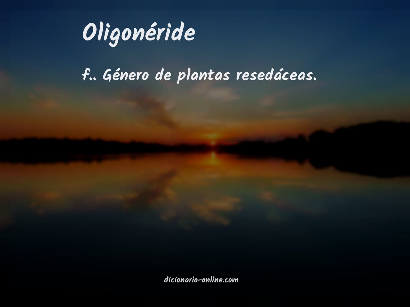 Significado de oligonéride