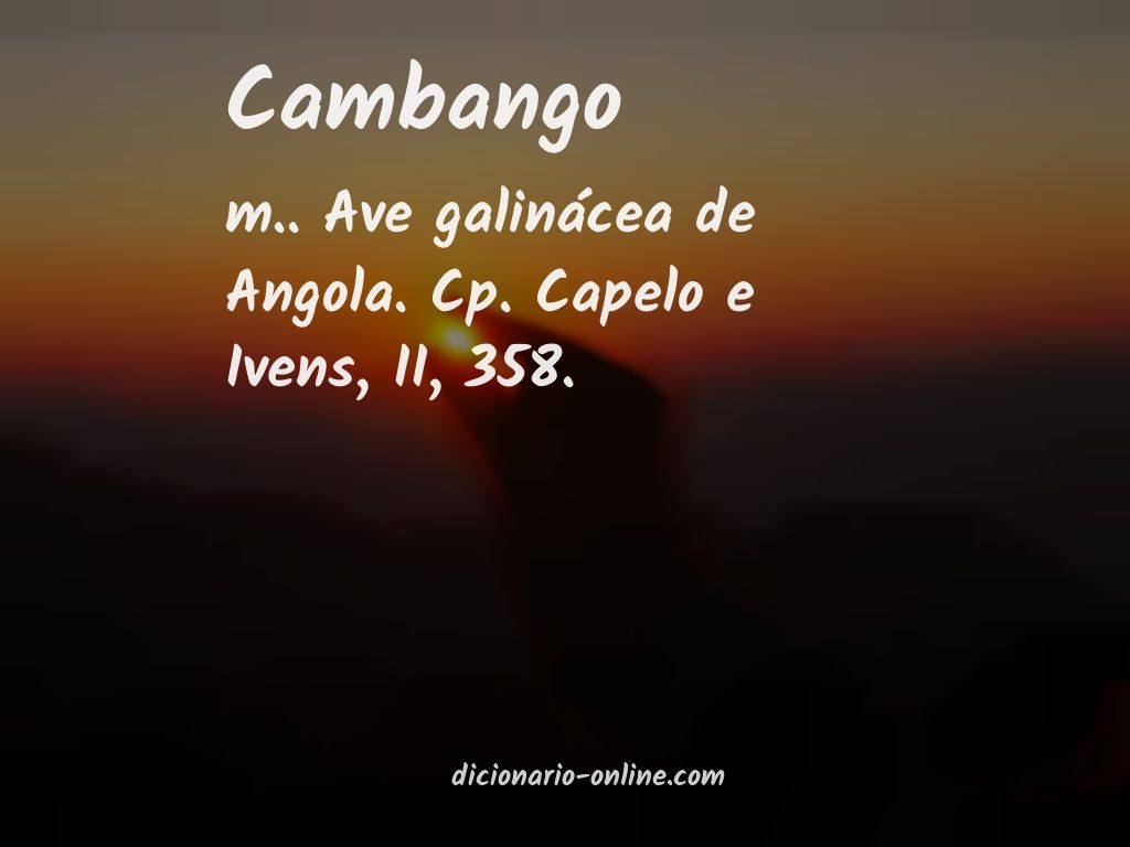 Significado de cambango