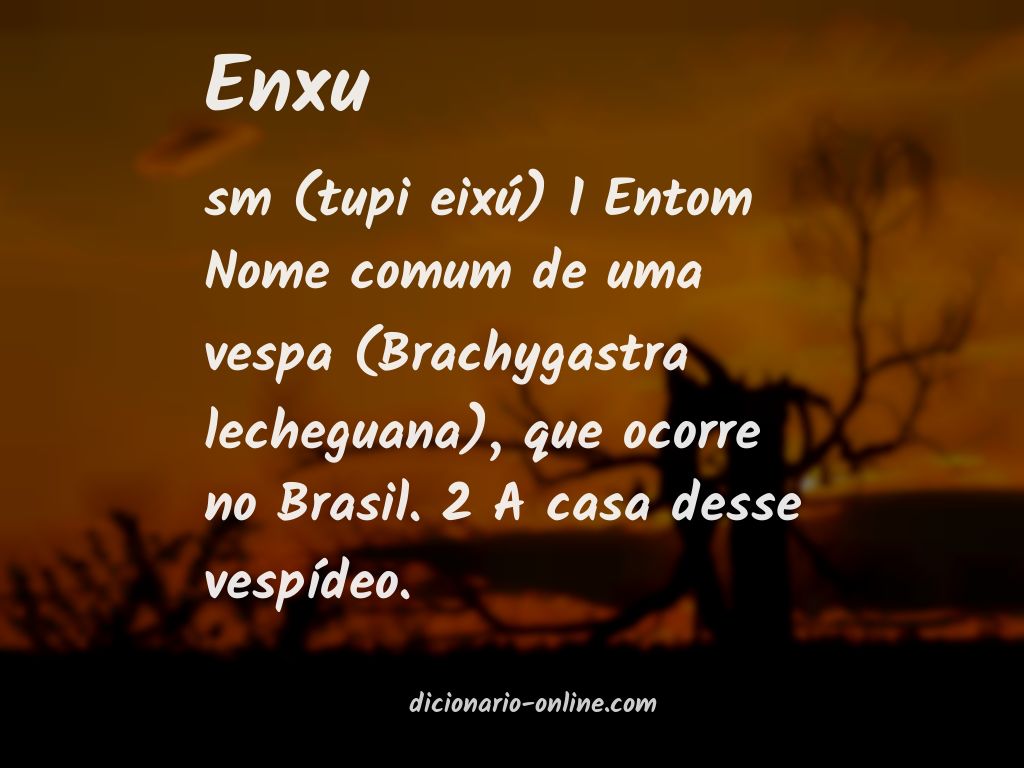 Significado de enxu