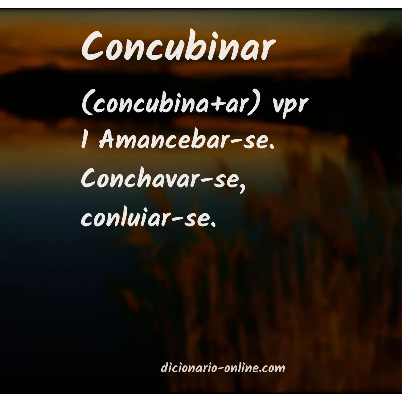 Significado de concubinar