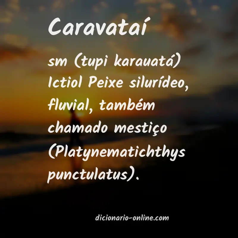 Significado de caravataí