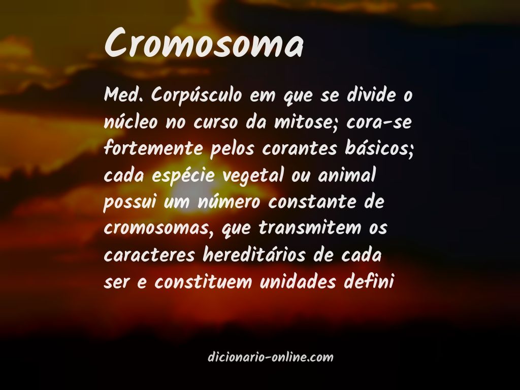 Significado de cromosoma