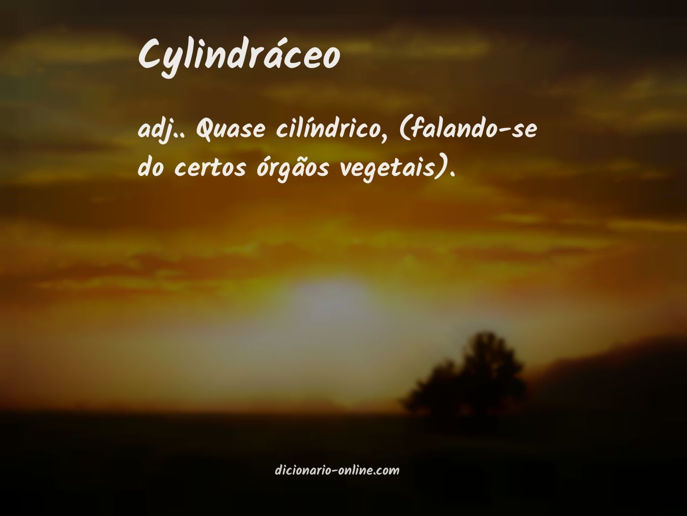 Significado de cylindráceo