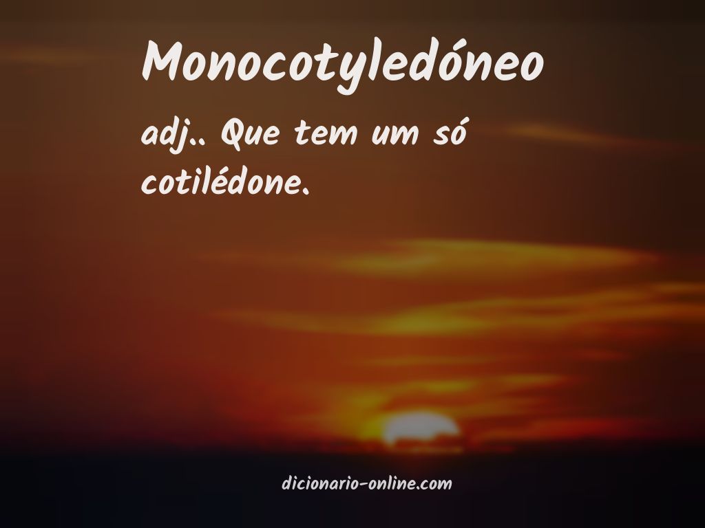 Significado de monocotyledóneo