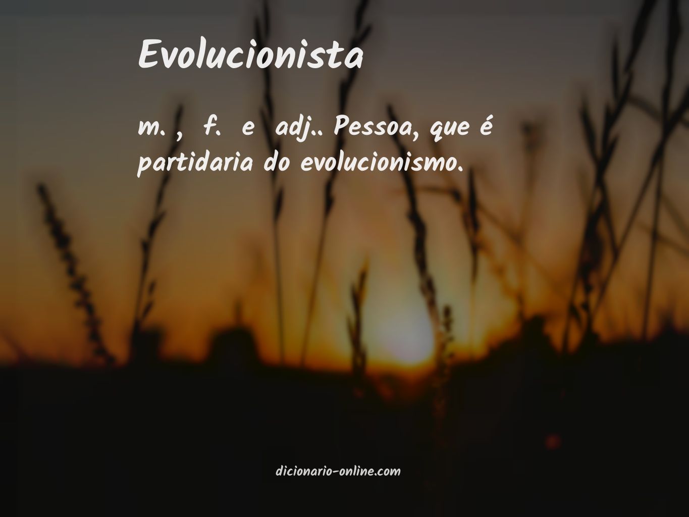 Significado de evolucionista