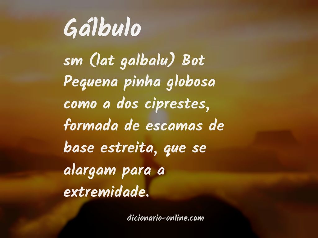 Significado de gálbulo