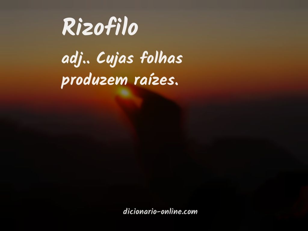 Significado de rizofilo