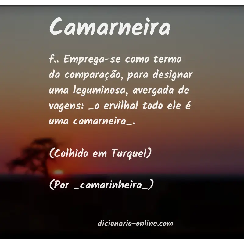 Significado de camarneira