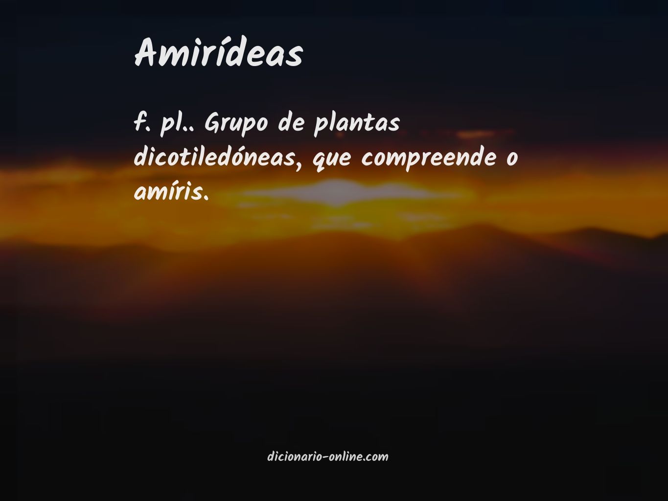 Significado de amirídeas