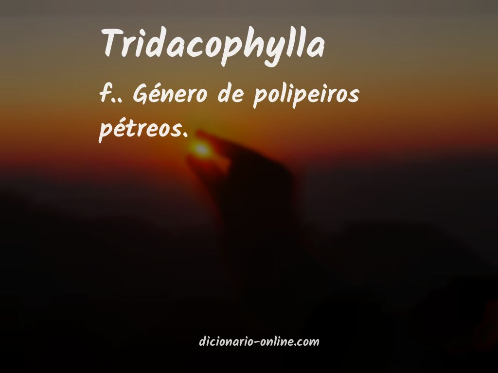 Significado de tridacophylla