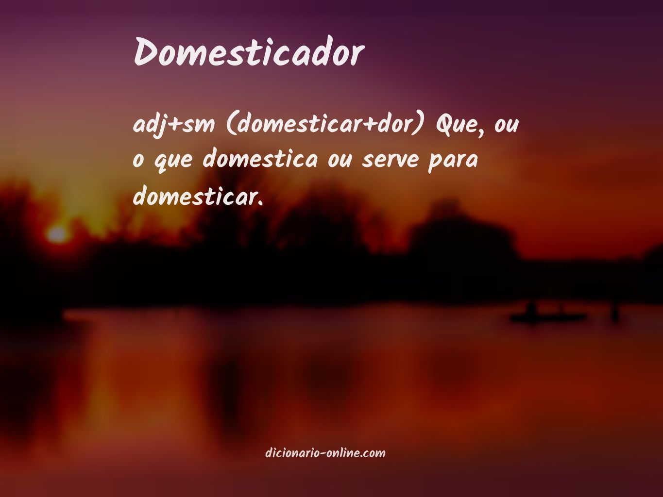 Significado de domesticador